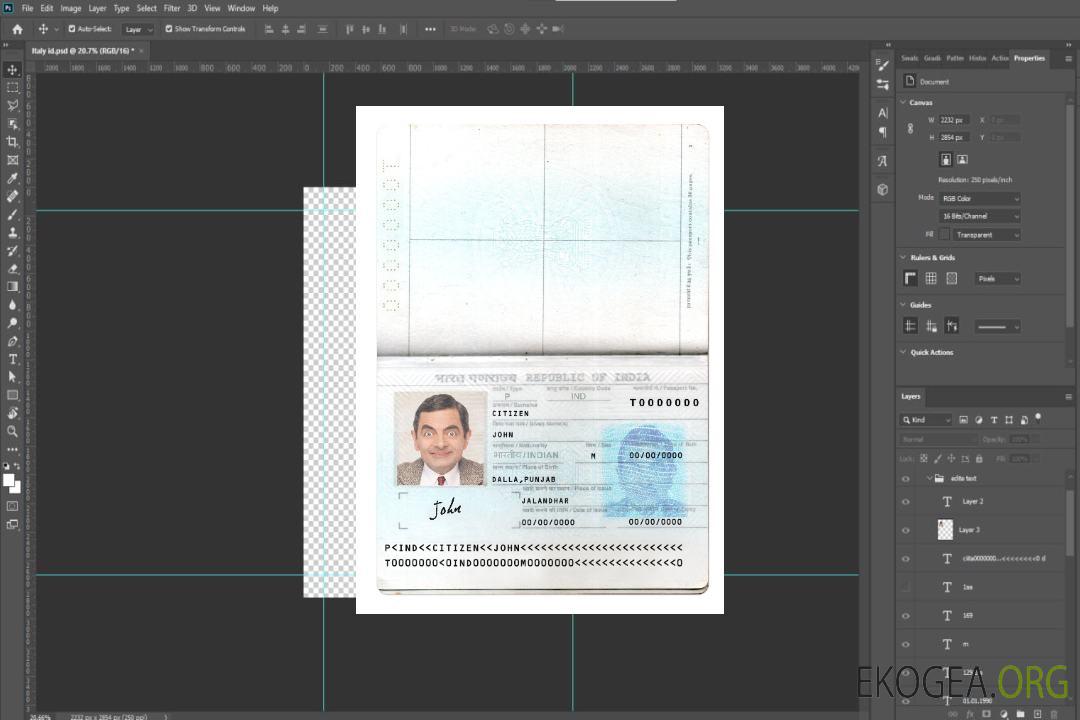 Passeport indien nouvelle version 2 pages 1 template